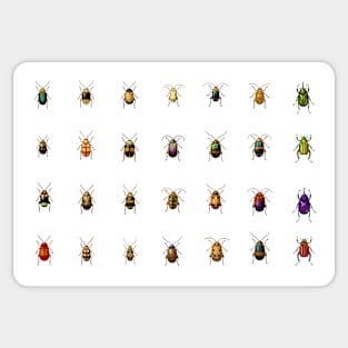 Vintage Bugs and Beetles Sticker